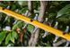 Кущоріз акумуляторний безщітковий DeWALT DCMHT573X1 DCMHT573X1 фото 12