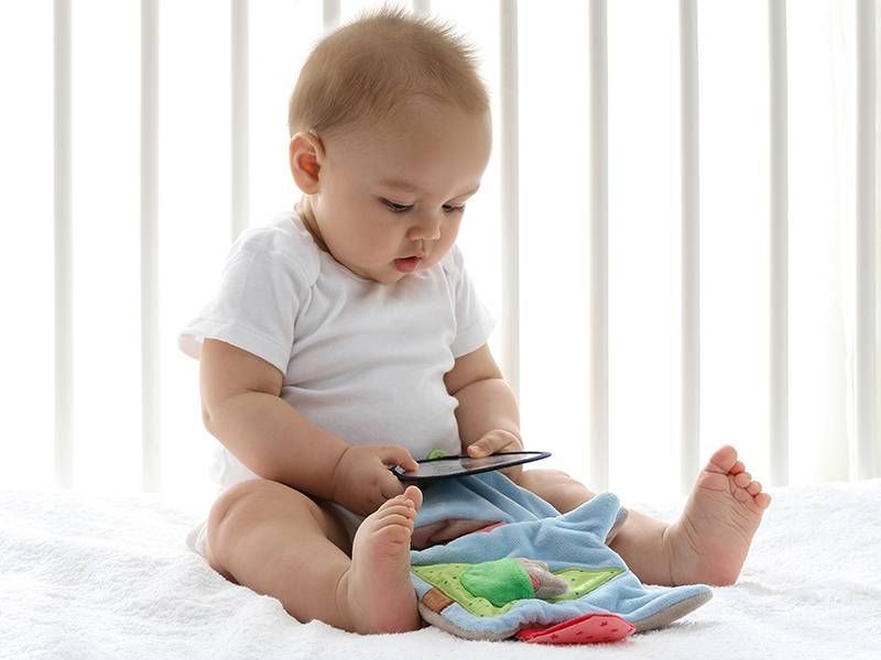 М'яка шарудить книжечка sigikid Сова 19 см (41511SK) 41511SK фото
