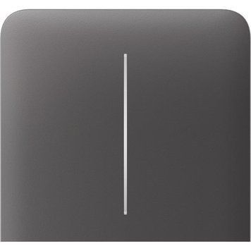 Кнопка боковая для двухклавишного вертикального выключателя Ajax SideButton Vertical (000046487) 46487 фото