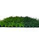 Искусственная трава UNITY ProGrass 50 мм A3504162D08801/1E фото 6