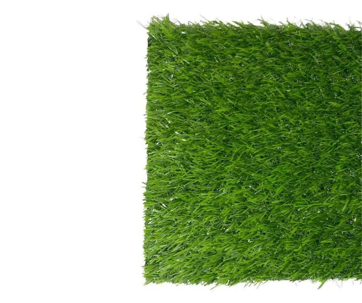 Штучна трава UNITY EcoSoft 25 мм (2 м) E625216GDQ11033 фото