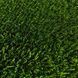 Декоративная трава Congrass Java 40 2.0 m Java 1 фото 1
