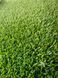 Спортивная искусственная трава Congrass Collor turf Зеленая 15 mm 4m 153866 фото 2