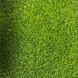 Спортивная искусственная трава Congrass Collor turf Зеленая 15 mm 4m 153866 фото 1