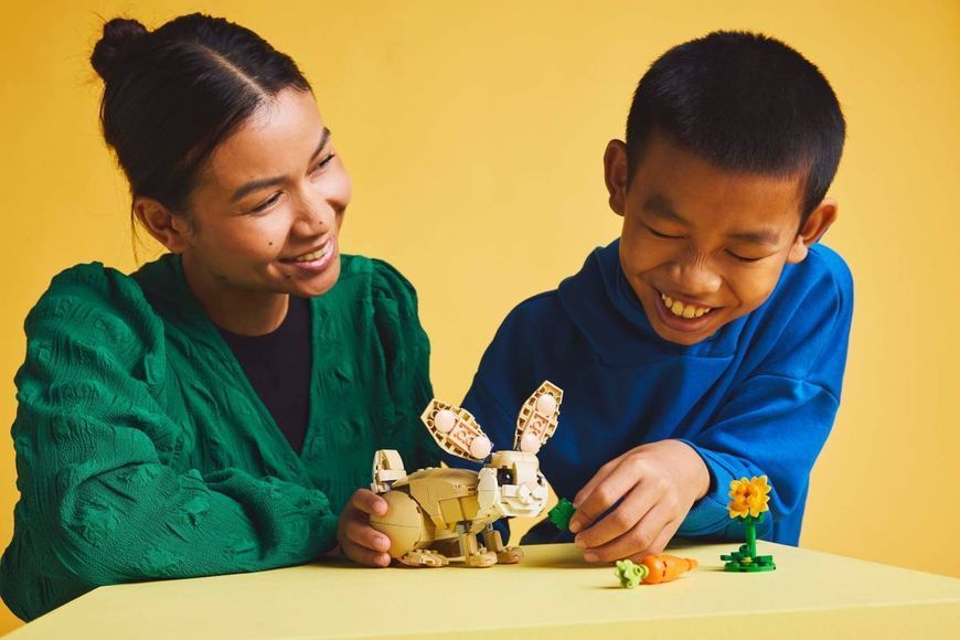 LEGO 31162 Creator Волшебный кролик 31162 фото
