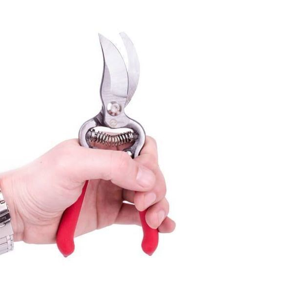 Секатор 200 мм INTERTOOL FT-1003 FT-1003 фото