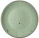 Тарілка обідня Ardesto Bagheria 26 см, Pastel green (AR2926GGC) AR2926GGC фото 1