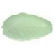 Блюдо Limited Edition LEAF GREEN GOLD/30x16.8 см/овальное (B010789) B010789 фото 2