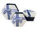 Подарункова коробка UFO WHITE/BLUE 40321-03 19х16х8 см 40321-03 19*16*8см WHITE/BLUE ше фото 1