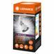 Світильник трековий Ledvance ECO E27 білий 4099854269660 фото 2