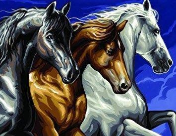 Набір для творчості Sequin Art PAINTING BY NUMBERS SENIOR Wild Horses (SA1040) SA1040 фото