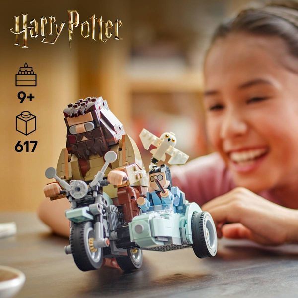 Конструктор LEGO Harry Potter Поездка Хагрида и Гарри на мотоцикле 617 элементов (76443)Конструктор LEGO Harry Potter Поездка Хагрида и Гарри на мотоцикле 617 элементов (76443) 76443 фото
