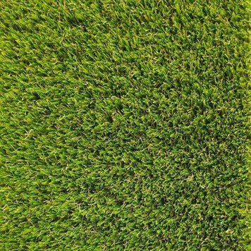 Декоративна трава PRETTIE GRASS MAGNOLIA 30 518527 фото