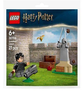 Конструктор LEGO Harry Potter Урок з Квідичу 30706 фото