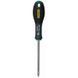 Викрутка FatMax з довжиною жала 100 мм під шліц Torx TT25 STANLEY 0-65-397 0-65-397 фото 1