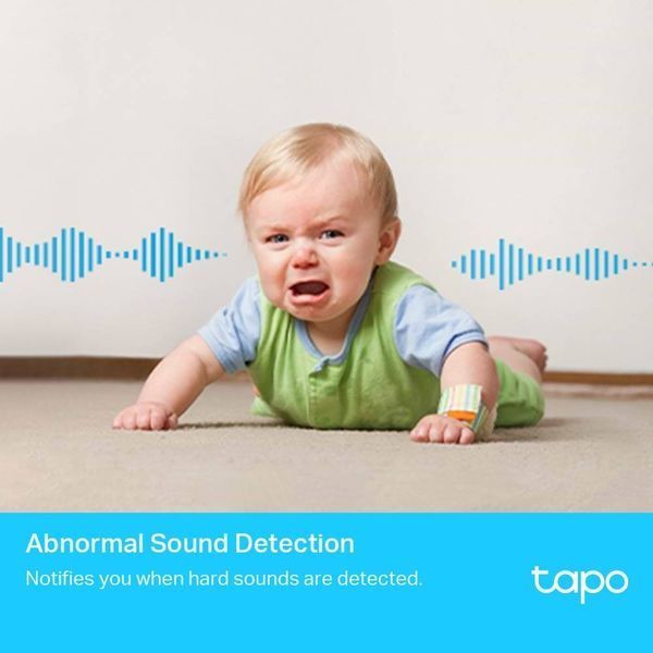 IP-камера TP-LINK Tapo C225 3MP N300 microSD motion detection 360&deg; mic TAPO-C225 фото