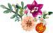 LEGO 10342 Botanicals Милый розовый букет цветов 10342 фото 6
