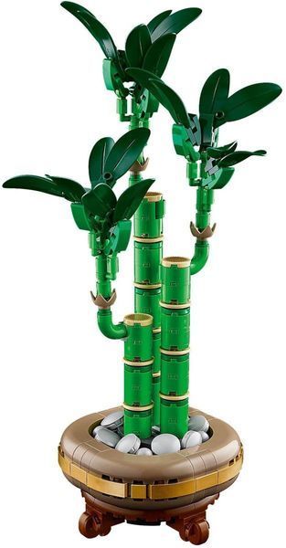 Конструктор LEGO Botanicals Драцена сандера 325 елементів (10344) 10344 фото