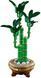 Конструктор LEGO Botanicals Драцена сандера 325 елементів (10344) 10344 фото 2