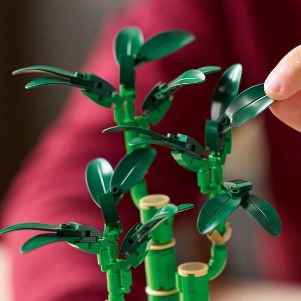 Конструктор LEGO Botanicals Драцена сандера 325 елементів (10344) 10344 фото