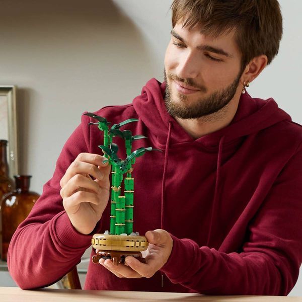 Конструктор LEGO Botanicals Драцена сандера 325 елементів (10344) 10344 фото