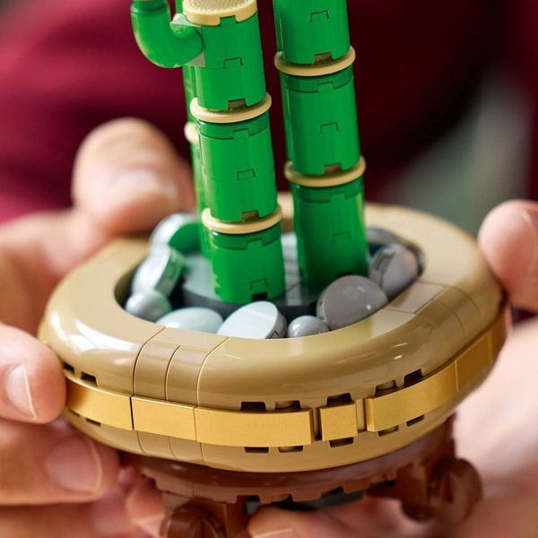 Конструктор LEGO Botanicals Драцена сандера 325 елементів (10344) 10344 фото