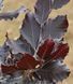Бук лісовий Пурпл Фонтейн (Fagus sylvatica Purple Fontaine) 01.009.007 фото 2