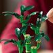 Конструктор LEGO Botanicals Драцена сандера 325 елементів (10344) 10344 фото 5