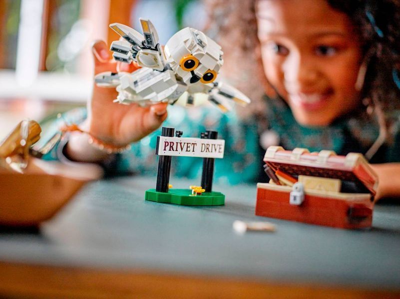 Конструктор LEGO Harry Potter Хедвіга на Тисовій вулиці, 4 337 деталей (76425) 76425 фото