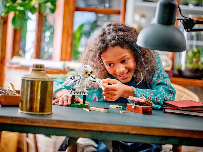 Конструктор LEGO Harry Potter Хедвіга на Тисовій вулиці, 4 337 деталей (76425) 76425 фото