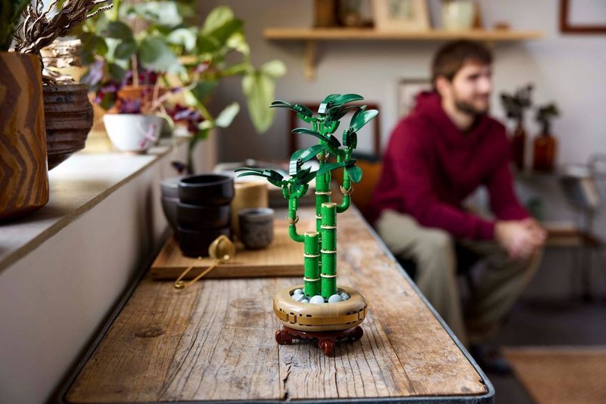 Конструктор LEGO Botanicals Драцена сандера 325 елементів (10344) 10344 фото