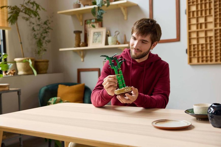 Конструктор LEGO Botanicals Драцена сандера 325 елементів (10344) 10344 фото