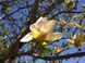 01.003.078 фото 1