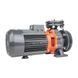 Насос Leo XST40-250/92 (7715703) SG-7715703 фото 6