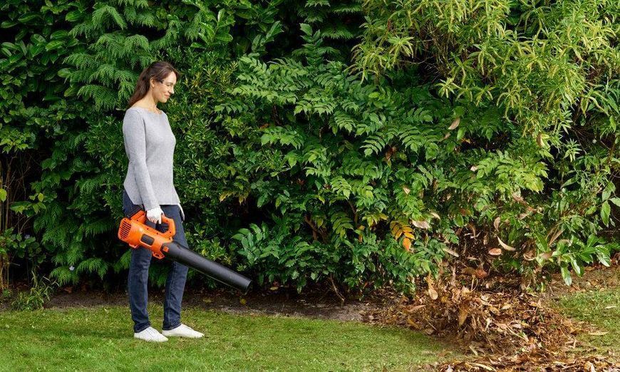 Воздуродувка аккумуляторная BLACK+DECKER BCBL200L BCBL200L фото