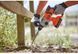 Перфоратор акумуляторний BLACK+DECKER BCD900B BCD900B фото 6