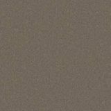 Линолеум Tarkett iQ GRANIT SOFT SAND BROWN 0752 127201 фото