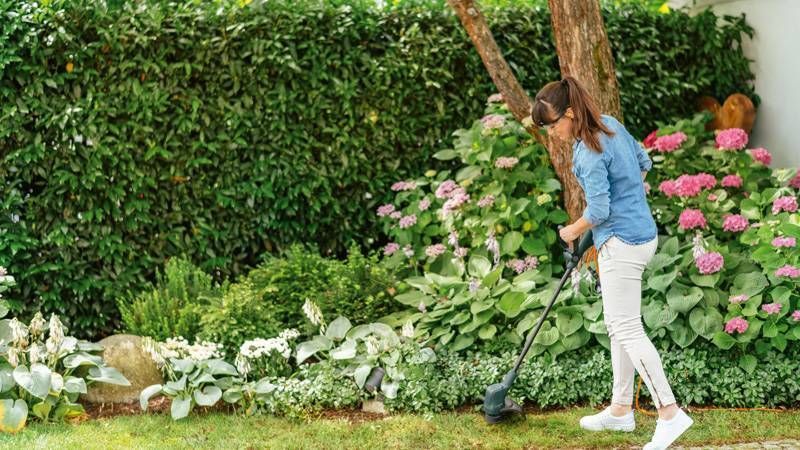 Триммер садовый электрический Bosch EasyGrassCut 23 (0.600.8C1.H01) 0.600.8C1.H01 фото
