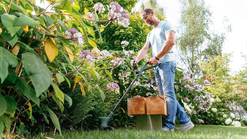 Триммер садовый электрический Bosch EasyGrassCut 23 (0.600.8C1.H01) 0.600.8C1.H01 фото