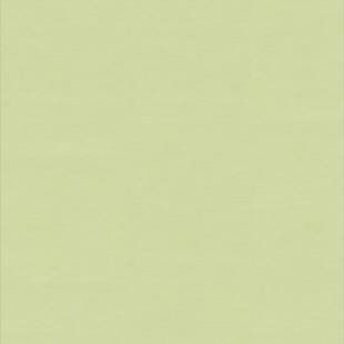 Лінолеум Tarkett WALLGARD GREEN 165064 фото