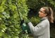 Кусторез аккумуляторный Bosch EasyHedgeCut EasyHedgeCut 18-45 18В (0.600.849.H02) 0.600.849.H02 фото 7