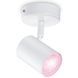 Умный накладной точечный светильник WiZ IMAGEO Spots 1х5W 2200-6500K RGB Wi-Fi белый (929002658701) 929002658701 фото 1