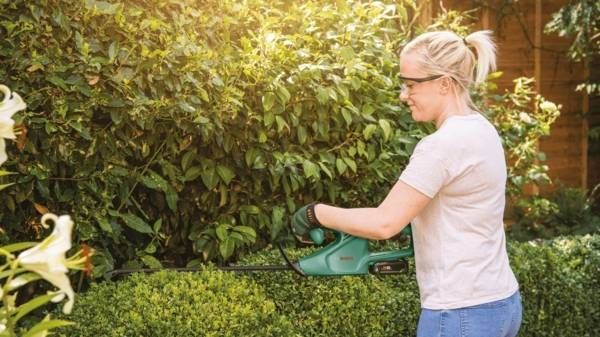 Кущоріз акумуляторний Bosch EasyHedgeCut 18-45 без АКБ та ЗП (0.600.849.H03) 0.600.849.H03 фото