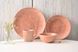 Салатник Limited Edition HERB TERRA /14 см (500 мл) (E1580-2) E1580-2 фото 1