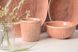 Салатник Limited Edition HERB TERRA /14 см (500 мл) (E1580-2) E1580-2 фото 3