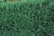 02.010.032 фото 3