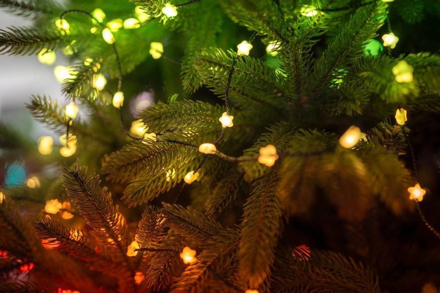 Smart LED Гірлянда Twinkly Strings USB 200 Star-shaped RGB LEDs, Green Wire, USB-C (TWKS200RGB-G) TWKS200RGB-G фото