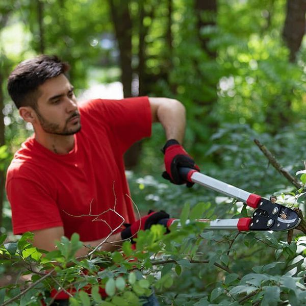 Сучкоріз садовий для обрізання гілок 730 мм INTERTOOL FT-1112 FT-1112 фото