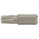 Биты TORX 30&times;25мм &frac14;" 10шт S2 (блистер) ULTRA (4015402) SG-4015402 фото 4