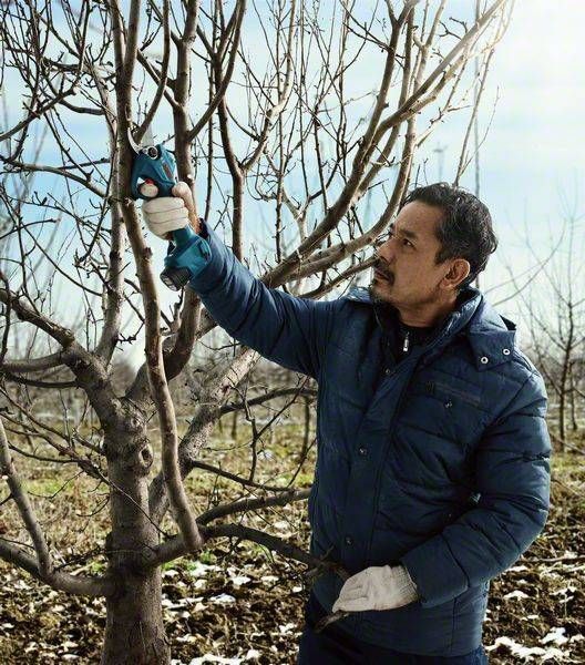 Секатор Bosch Pro Pruner аккумуляторный (06019K1021) 0.601.9K1.021 фото